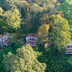 **** Resort The Tall Trees India